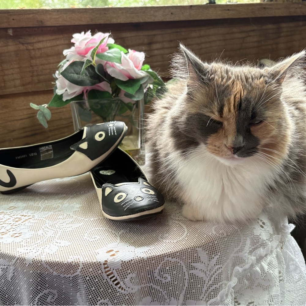 T.U.K. Cat Ballet Flats. Size 10